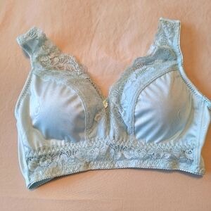 Rhonda Shear Elegant Lace Trim Light Blue Bra NWOT
